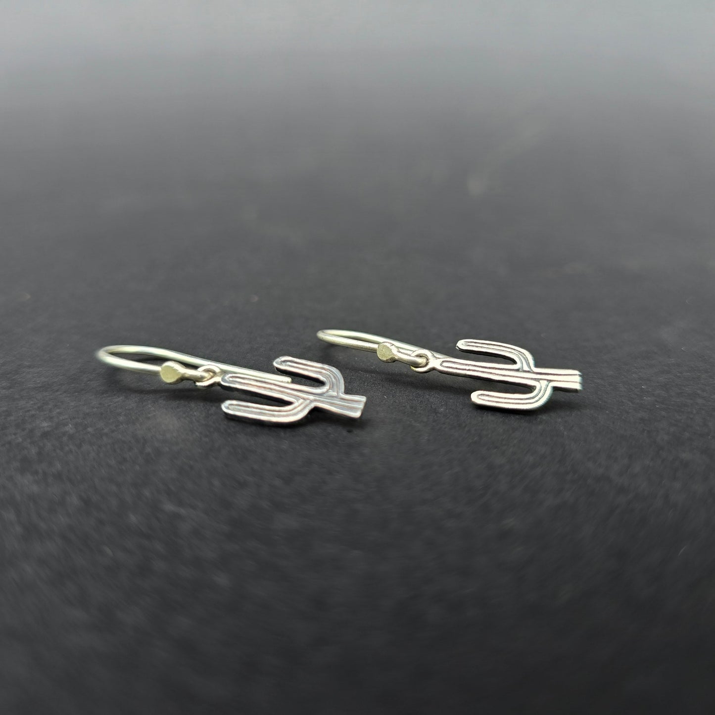 SAGUARO ~ Earrings